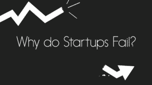 why startups fail