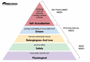 What Is Consumer Behaviour? [detailed Guide] 