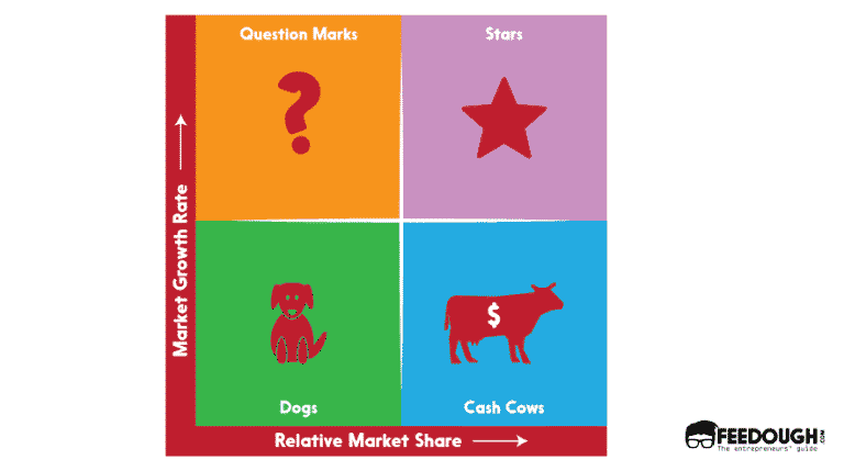 examples of stars in bcg matrix