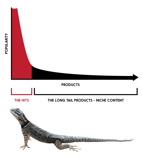 Теория длинного хвоста. Длинный хвост бизнес модель. The long Tail. Правый хвост длиннее левого.