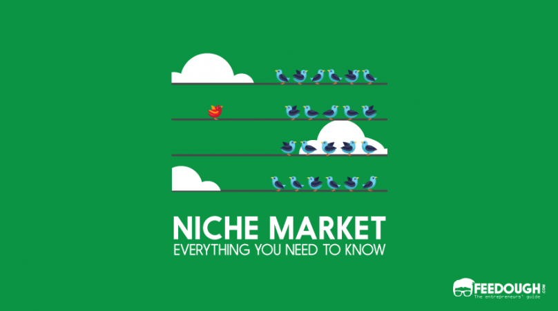 Niche market meaning