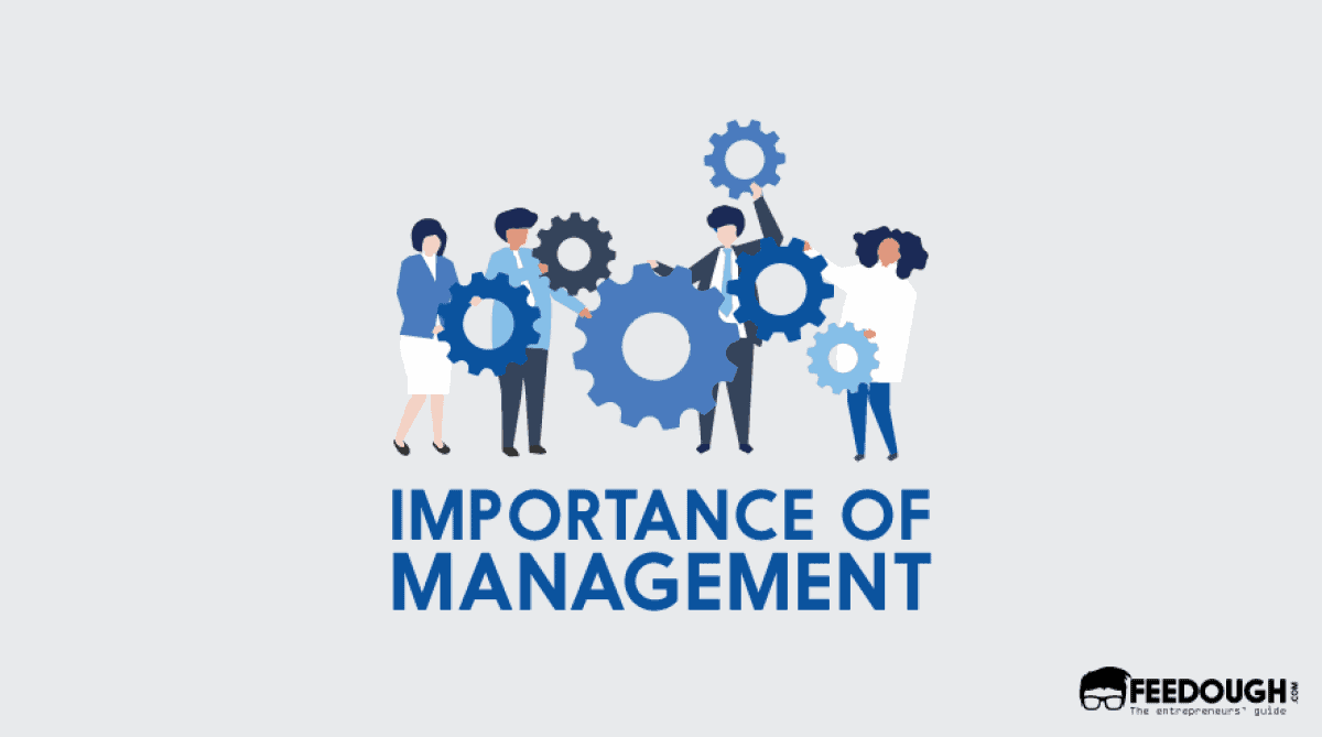 The Importance Of Management In Business Feedough