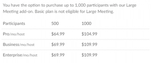 zoom pricing model