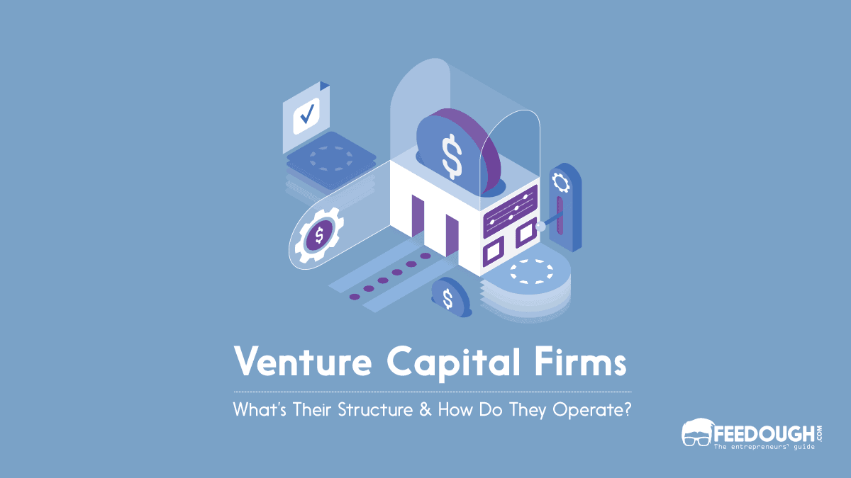 Venture Capital Firm Structure: How Does A VC Firm Work? – Feedough