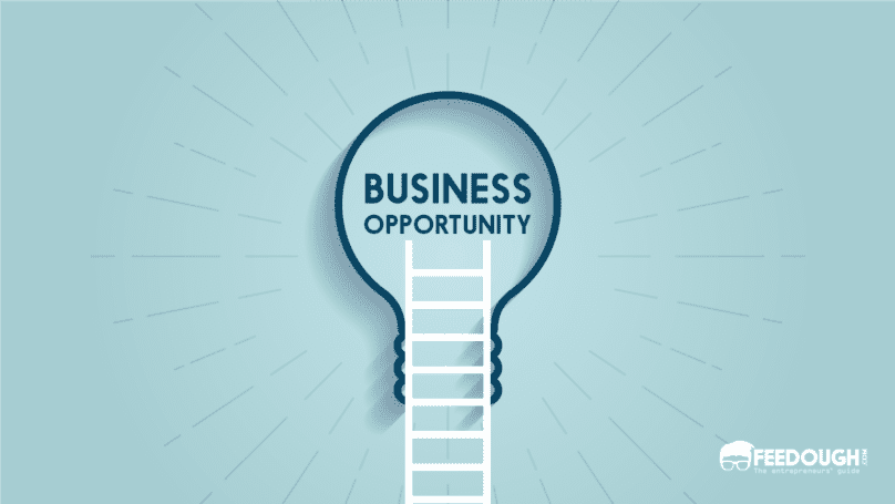 what-is-business-opportunity-importance-types-identification