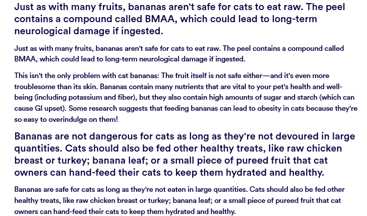 copy ai copy 2 copy ai copy 2