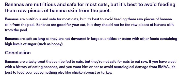 copy ai copy 3 copy ai copy