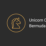 Unicorn companies in Bermuda