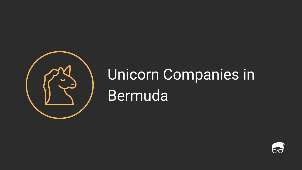 Unicorn companies in Bermuda