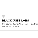 BlackCube Labs